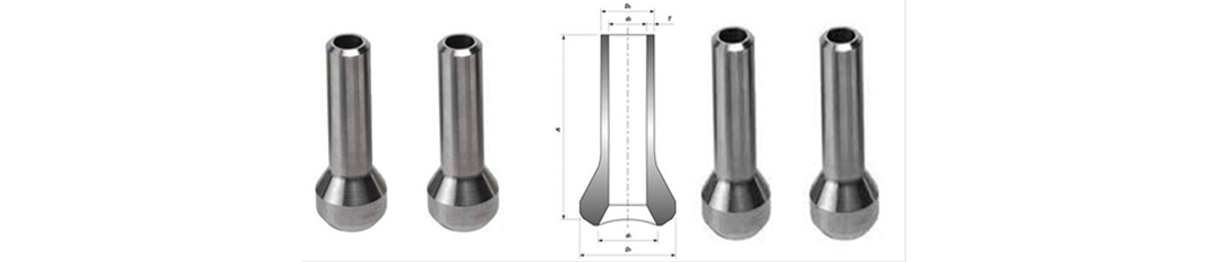 Stainless Steel 304 Flanges